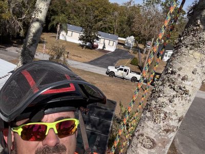 Arborist Tree Trimming Expert