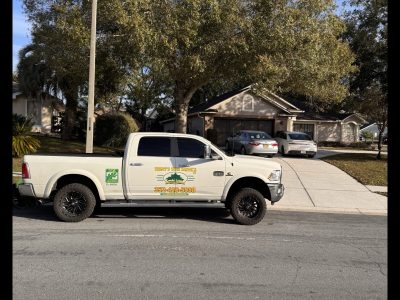 Arborists Tree Removal Service