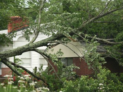 Storm Damage