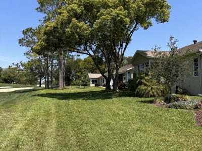 Residential Tree Pruning And Trimming