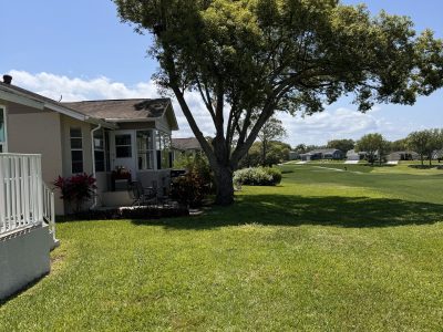 Residential Tree Pruning And Trimming Service