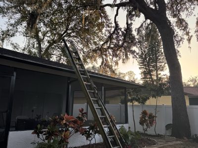 Residential Tree Trimming Project